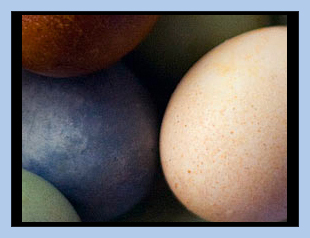natural dyed eggs edited