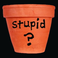 stupid pot